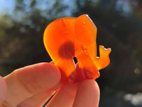 Polished Carnelian Agate Elephant Fridge Magnets - Sold per Item - From China - Toprock Gemstones and Minerals