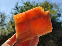 Natural Rhombohedral Sunset Orange Calcite Specimens x 6 From Spitzkop, Namibia - Toprock Gemstones and Minerals