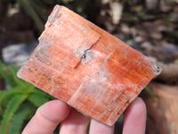 Natural Rhombohedral Sunset Orange Calcite Specimens x 6 From Spitzkop, Namibia - Toprock Gemstones and Minerals