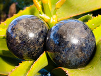 Polished Iolite Spheres x 2 From Ambatofinandrahana, Madagascar - Toprock Gemstones and Minerals