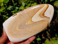 Polished Picture Stone Jasper Standing Free Forms x 2 From Ais-Ais, Namibia - Toprock Gemstones and Minerals