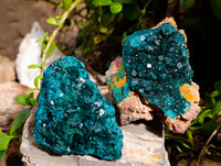 Natural Dioptase On Dolomite with Malachite Specimens x 2 From Likasi, Congo - Toprock Gemstones and Minerals