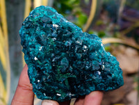 Natural Dioptase On Dolomite with Malachite Specimens x 2 From Likasi, Congo - Toprock Gemstones and Minerals