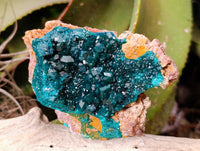 Natural Dioptase On Dolomite with Malachite Specimens x 2 From Likasi, Congo - Toprock Gemstones and Minerals