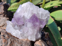 Natural Jacaranda Amethyst Quartz Cluster x 3 From Mumbwa, Zambia - Toprock Gemstones and Minerals