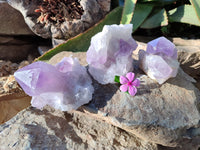 Natural Jacaranda Amethyst Quartz Cluster x 3 From Mumbwa, Zambia - Toprock Gemstones and Minerals