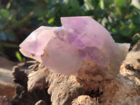 Natural Jacaranda Amethyst Quartz Cluster x 3 From Mumbwa, Zambia - Toprock Gemstones and Minerals