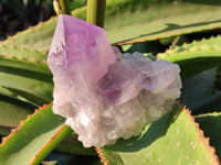 Natural Jacaranda Amethyst Quartz Cluster x 3 From Mumbwa, Zambia - Toprock Gemstones and Minerals
