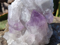 Natural Jacaranda Amethyst Quartz Cluster x 3 From Mumbwa, Zambia - Toprock Gemstones and Minerals