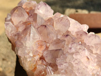 Natural Cactus Flower Amethyst Spirit Quartz Cluster x 1 From South Africa - Toprock Gemstones and Minerals