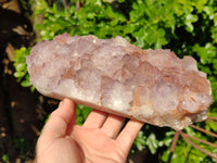 Natural Cactus Flower Amethyst Spirit Quartz Cluster x 1 From South Africa - Toprock Gemstones and Minerals