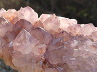 Natural Cactus Flower Amethyst Spirit Quartz Cluster x 1 From South Africa - Toprock Gemstones and Minerals