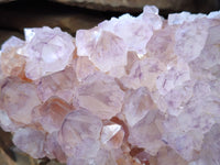 Natural Cactus Flower Amethyst Spirit Quartz Cluster x 1 From South Africa - Toprock Gemstones and Minerals