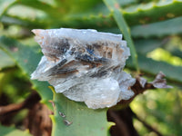 Natural Single Bladed Barite Crystals x 24 From Congo - Toprock Gemstones and Minerals