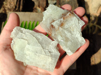 Natural Single Bladed Barite Crystals x 24 From Congo - Toprock Gemstones and Minerals