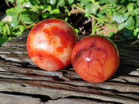 Polished Carnelian Agate Spheres x 3 From Madagascar - Toprock Gemstones and Minerals