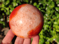 Polished Carnelian Agate Spheres x 3 From Madagascar - Toprock Gemstones and Minerals
