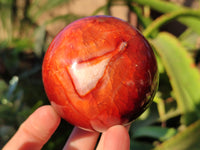 Polished Carnelian Agate Spheres x 3 From Madagascar - Toprock Gemstones and Minerals