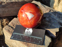 Polished Carnelian Agate Spheres x 3 From Madagascar - Toprock Gemstones and Minerals