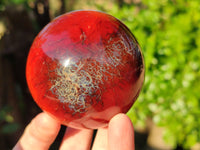 Polished Carnelian Agate Spheres x 3 From Madagascar - Toprock Gemstones and Minerals