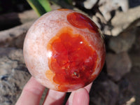 Polished Carnelian Agate Spheres x 3 From Madagascar - Toprock Gemstones and Minerals