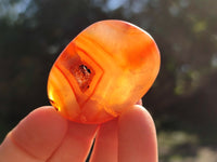 Polished Carnelian Palm Stones x 35 From Madagascar - Toprock Gemstones and Minerals