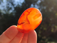 Polished Carnelian Palm Stones x 35 From Madagascar - Toprock Gemstones and Minerals
