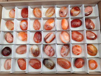 Polished Carnelian Palm Stones x 35 From Madagascar - Toprock Gemstones and Minerals