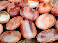 Polished Carnelian Palm Stones x 35 From Madagascar - Toprock Gemstones and Minerals