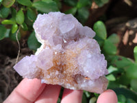 Natural Cactus Flower Amethyst Spirit Quartz Clusters x 5 From South Africa - Toprock Gemstones and Minerals