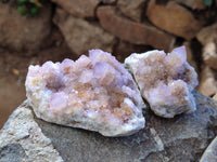 Natural Cactus Flower Amethyst Spirit Quartz Clusters x 5 From South Africa - Toprock Gemstones and Minerals