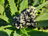 Natural Schorl Black Tourmaline on Orthoclase Matrix Clusters with a bit of Hyalite Opal x 6 From Erongo, Namibia - Toprock Gemstones and Minerals