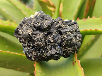 Natural Schorl Black Tourmaline on Orthoclase Matrix Clusters with a bit of Hyalite Opal x 6 From Erongo, Namibia - Toprock Gemstones and Minerals