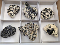 Natural Schorl Black Tourmaline on Orthoclase Matrix Clusters with a bit of Hyalite Opal x 6 From Erongo, Namibia - Toprock Gemstones and Minerals