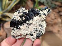 Natural Schorl Black Tourmaline on Orthoclase Matrix Clusters with a bit of Hyalite Opal x 6 From Erongo, Namibia - Toprock Gemstones and Minerals