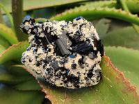Natural Schorl Black Tourmaline on Orthoclase Matrix Clusters with a bit of Hyalite Opal x 6 From Erongo, Namibia - Toprock Gemstones and Minerals