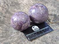 Polished Lepidolite with Pink Rubellite Spheres x 3 From Ambatondrazaka, Madagascar - Toprock Gemstones and Minerals
