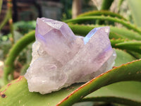 Natural Jacaranda Amethyst Quartz Cluster x 3 From Mumbwa, Zambia - Toprock Gemstones and Minerals