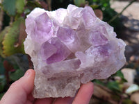 Natural Jacaranda Amethyst Quartz Cluster x 3 From Mumbwa, Zambia - Toprock Gemstones and Minerals