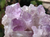 Natural Jacaranda Amethyst Quartz Cluster x 3 From Mumbwa, Zambia - Toprock Gemstones and Minerals