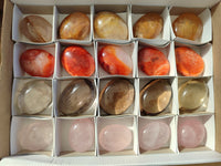 Polished Mix Of Selected Palm Stones x 20 From Madagascar - Toprock Gemstones and Minerals