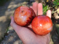 Polished Carnelian Agate Spheres x 3 From Madagascar - Toprock Gemstones and Minerals