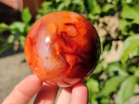 Polished Carnelian Agate Spheres x 3 From Madagascar - Toprock Gemstones and Minerals