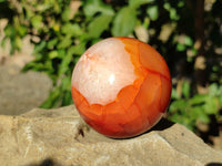 Polished Carnelian Agate Spheres x 3 From Madagascar - Toprock Gemstones and Minerals