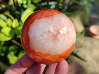 Polished Carnelian Agate Spheres x 3 From Madagascar - Toprock Gemstones and Minerals