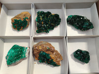 Natural Dioptase Specimens x 6 From Likasi, Congo - Toprock Gemstones and Minerals