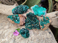 Natural Dioptase Specimens x 6 From Likasi, Congo - Toprock Gemstones and Minerals