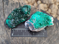 Natural Dioptase Specimens x 6 From Likasi, Congo - Toprock Gemstones and Minerals