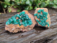 Natural Dioptase Specimens x 6 From Likasi, Congo - Toprock Gemstones and Minerals