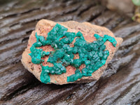 Natural Dioptase Specimens x 6 From Likasi, Congo - Toprock Gemstones and Minerals